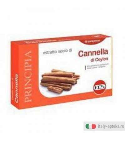 Cannella Estratto Secco 60cpr