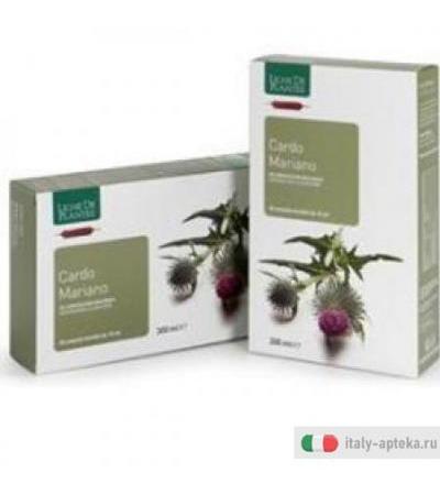 Cardo Mariano 15ml 20ab