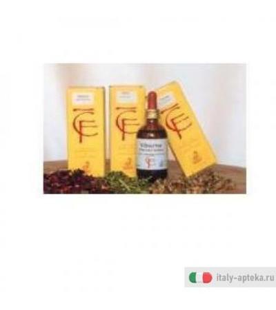 Castagno Gemme 100ml Mg