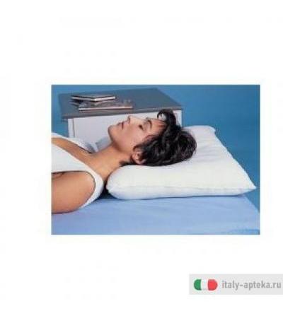 Cervisan Cusc Cerv Anall