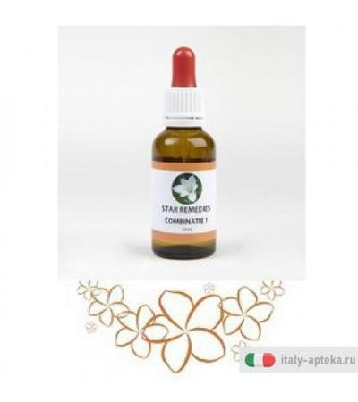 Combinazione 1 23,67g