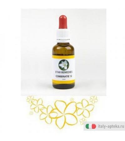 Combinazione 12 23,67g