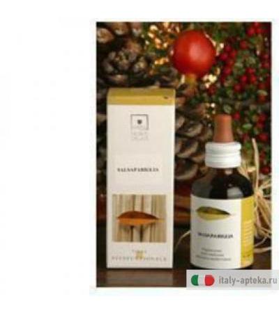 Echinacea Bio Tm 50ml Stv