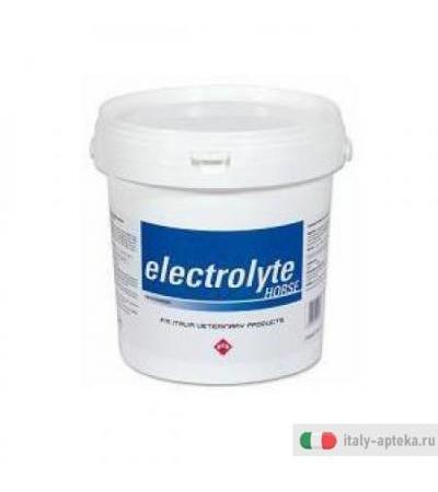 Electrolyte Horse Os 3kg