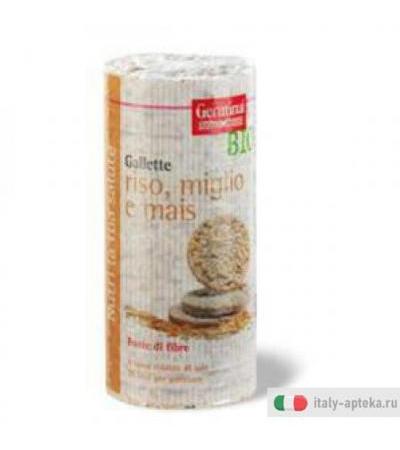 Gallette Riso Miglio Mais Bio