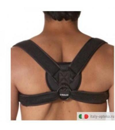 Gibaudortho Bloc Clavic Mun