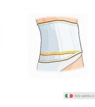 Gibaudortho Cint Lombare Stec4