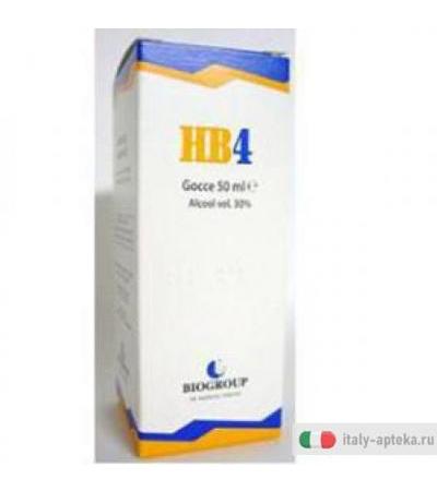 Hb 4 Aerflog 50ml