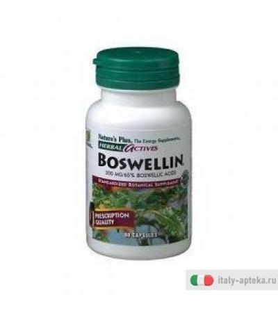 Herbal Incenso 60cps