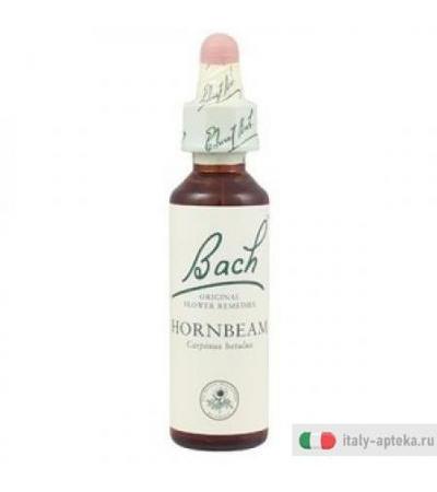 Hornbeam Bach Orig 10ml