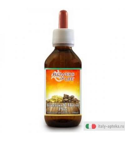 Incenso & Mirra Plus Flowers