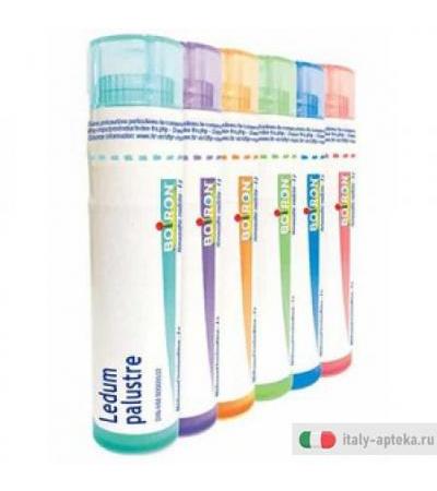 Ledum Palustre 15ch Gl