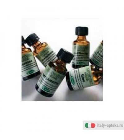 Limone Olio Ess 15ml