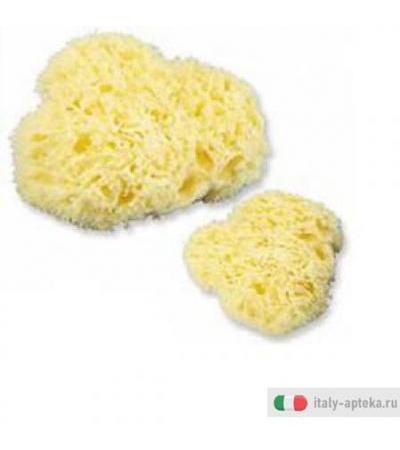 Mb Spugna 7014602 Mare Gr