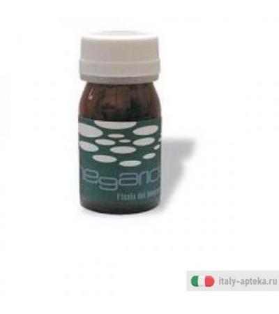 Megaride Polpa Baobab 50cpr