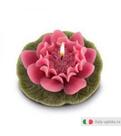 Ninfea M/a Candela Prof Artig