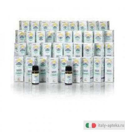 Nomabit Scleranthus Gl 6g