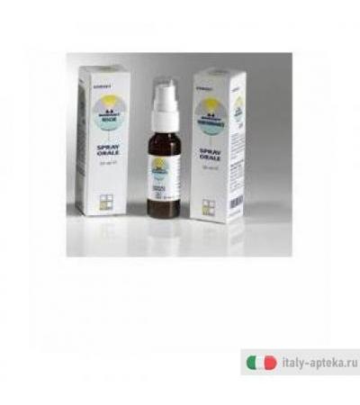 Nomabit Star Of Bethlehem Gl 6