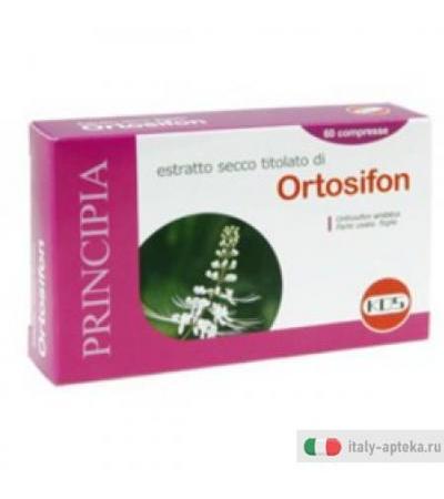 Ortosiphon Estr Sec 60cpr