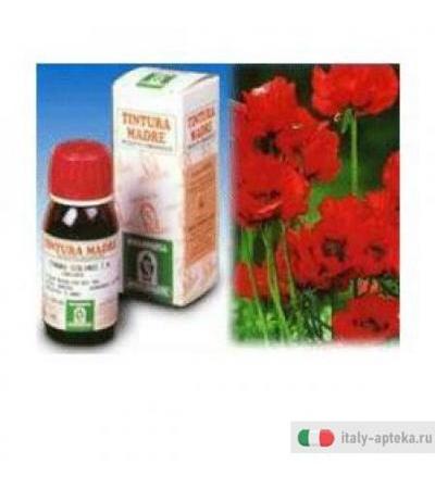 Papavero California 13 50ml Tm