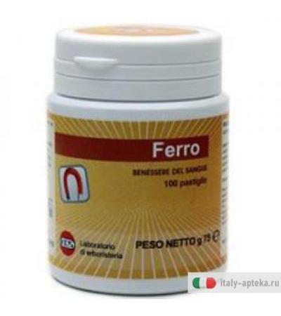 Pastiglie Ferro 100past