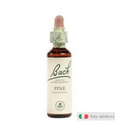 Pine Bach Orig 10ml