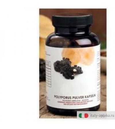 Polvere di Polyporus 120cps
