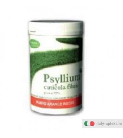 Psyllium Fibra Etp Bar 170g
