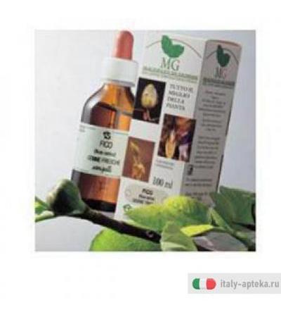Quercia 100ml Mg