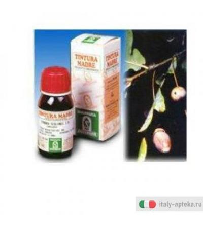 Quercia Mari 14 50ml Tm