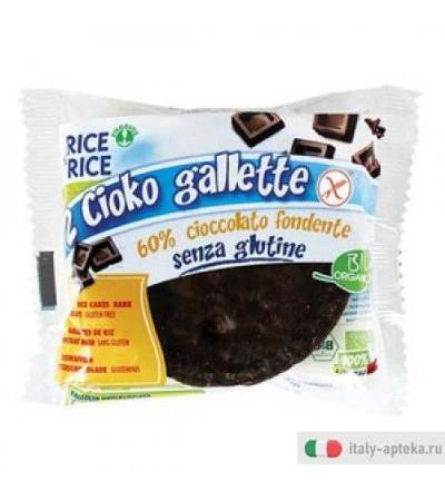 R&R Cioko Gallette Cioccolato Fondente