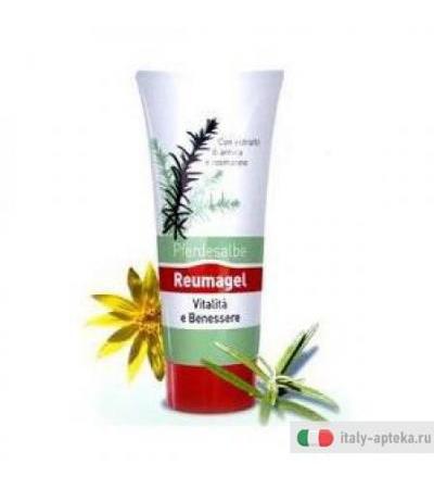 Recover Pferdesalbe Gel 200ml