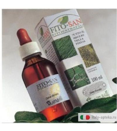 Ribes Nero Tintura Madre 100ml