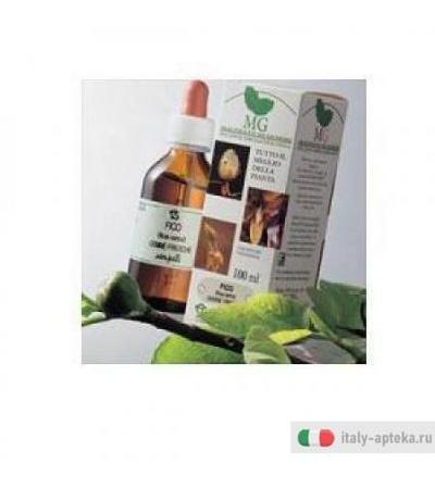 Rosa Canina 100ml Mg