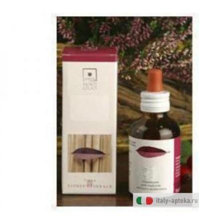 Rosa Canina 50ml Stv