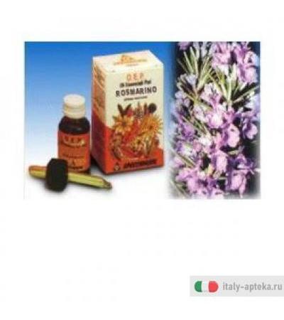 Rosmarino Olio Ess Puro 10ml