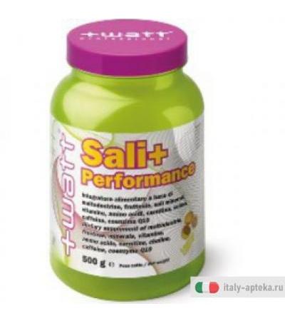 Sali+ Performance Arancia 500g
