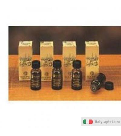 Sandalo Mysore Olio Ess 10ml