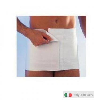 Scudotex Cint Conteni Reg Bi 8