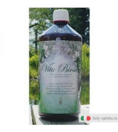 Vitabiosa Floraintestinale 1lt