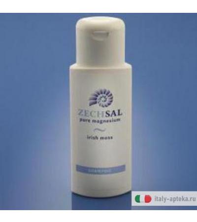 Zechsal Magnesium Shampoo