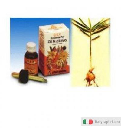 Zenzero Olio Ess Puro 10ml