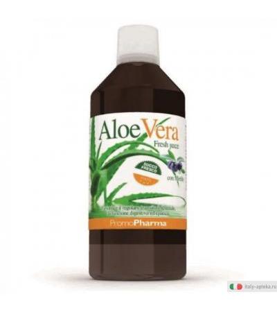 Aloe Vera puro succo fresco di Aloe 100% con Mirtillo 1Litro