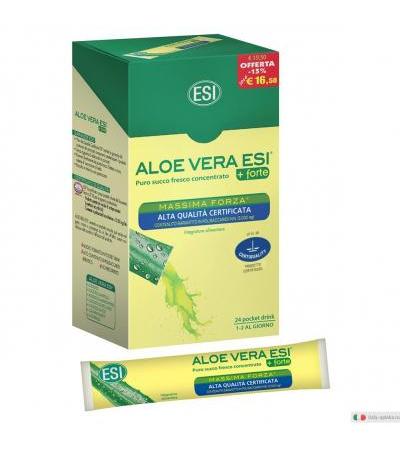 Aloe Vera Succo + Forte 24 pocket drink