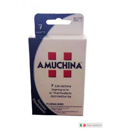 Amuchina Pharmaderm 7 salviette disinfettanti