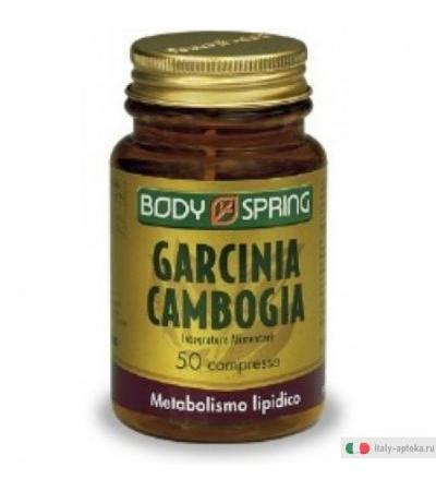 Body Spring Garcinia Cambogia favorisce il metabolismo dei lipidi 50 compresse
