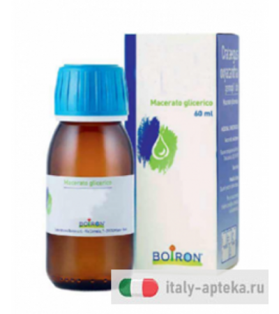 Boiron Fraxinus Excelsior macerati glicerici 60ml