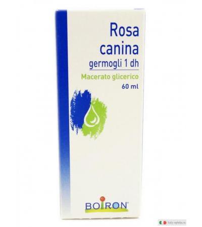 Boiron Rosa Canina germogli 60 ml