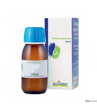 Boiron Rubus Idaeus medicinale omeopatico macerati glicerici 60ml