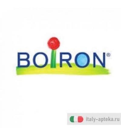 Boiron Sabal Serrulata 30CH Medicinale Omeopatico in Granuli